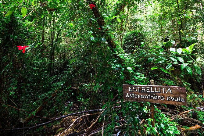 chiloe-national-park-and-chonchi-darwin-route