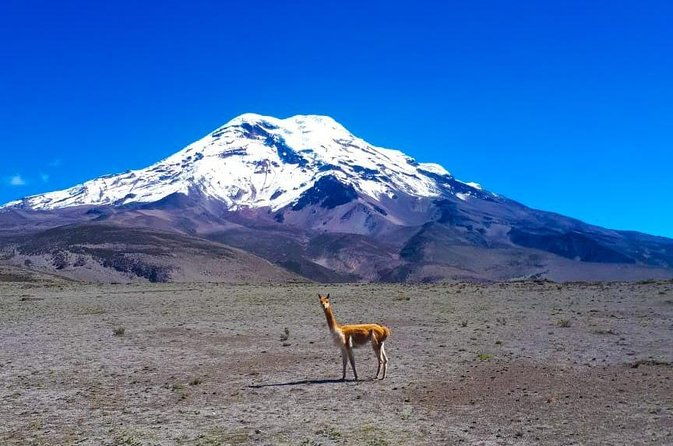 chimborazo-volcano-from-banos-private-day-tour