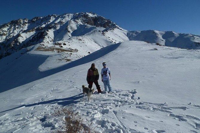 Chimgan Mountains & Amirsay Resort from Tashkent - Final Thoughts