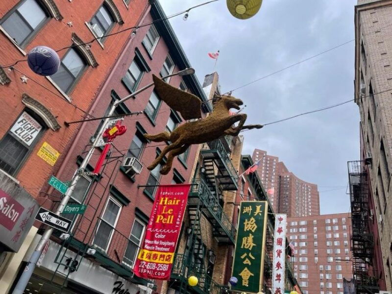 chinatown-walking-food-tour-of-new-york