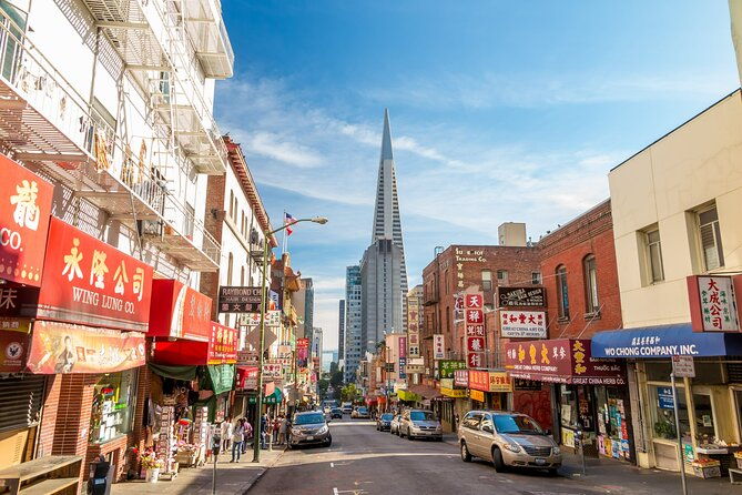 chinatown-warrior-cat-in-san-francisco-exploration-game-and-tour