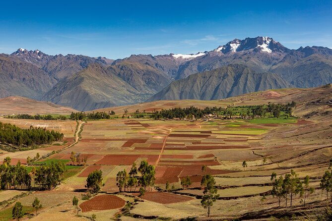 chinchero-moray-maras-picnic-with-llamas-and-alpacas