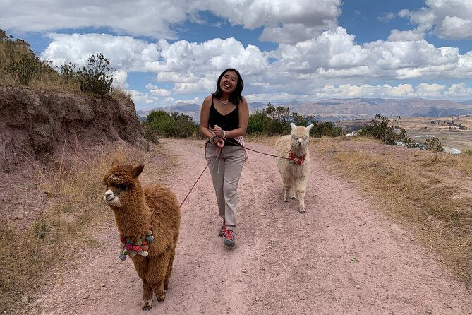 chinchero-moray-maras-picnic-with-llamas-and-alpacas