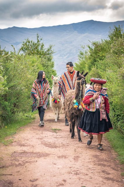 chinchero-moray-maras-picnic-with-llamas