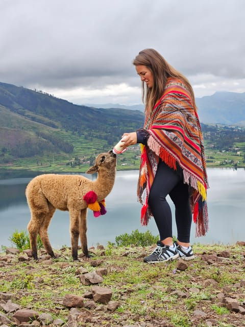 chinchero-moray-maras-picnic-with-llamas
