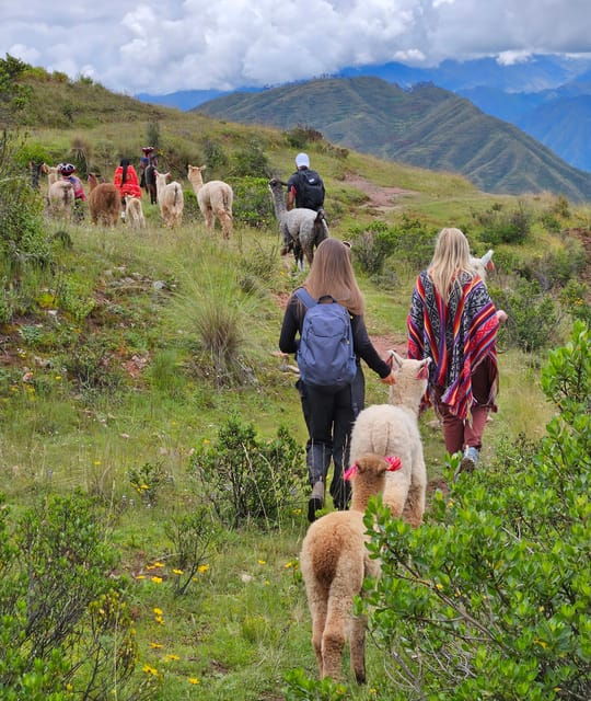 chinchero-moray-maras-picnic-with-llamas