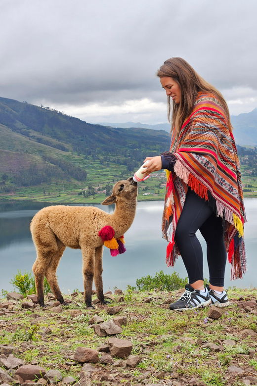chinchero-moray-maras-picnic-with-llamas