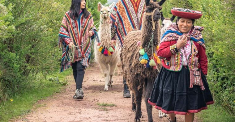 chinchero-moray-maras-picnic-with-llamas
