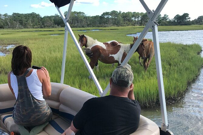 chincoteagues-up-the-bay-pony-and-wildlife-tour-by-boat