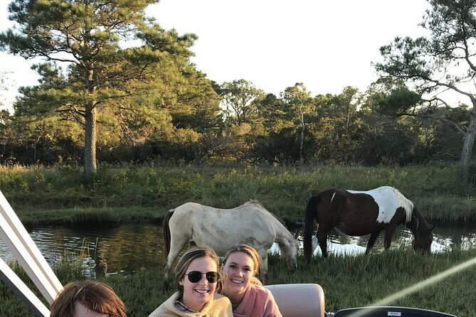 chincoteagues-up-the-bay-pony-and-wildlife-tour-by-boat