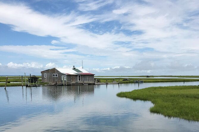 chincoteagues-up-the-bay-pony-and-wildlife-tour-by-boat