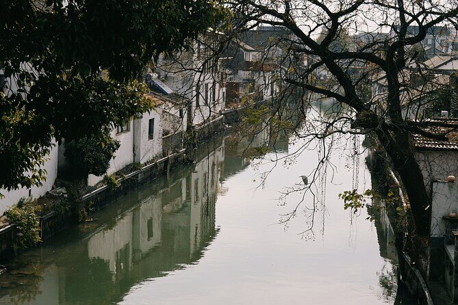 Chinese Painting with Local Master in Water Town - Practical Tips and Considerations
