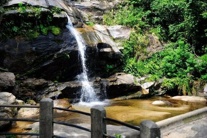 chinese-view-and-tijuca-forest-transport-tour-guide