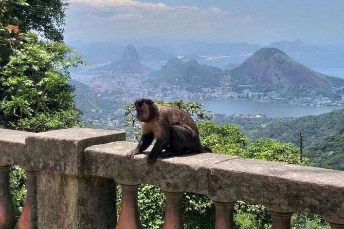 chinese-view-and-tijuca-forest-transport-tour-guide