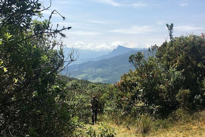 chingaza-national-park-day-tour-from-bogota-andean-wilderness