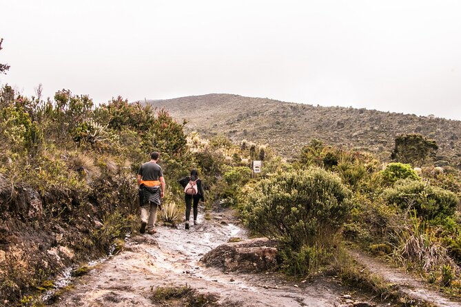 chingaza-national-park-day-tour-from-bogota-andean-wilderness