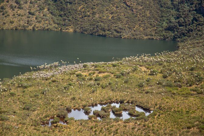 chingaza-siecha-lakes-trek