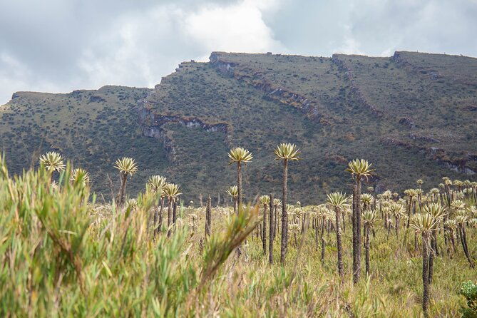 chingaza-siecha-lakes-trek