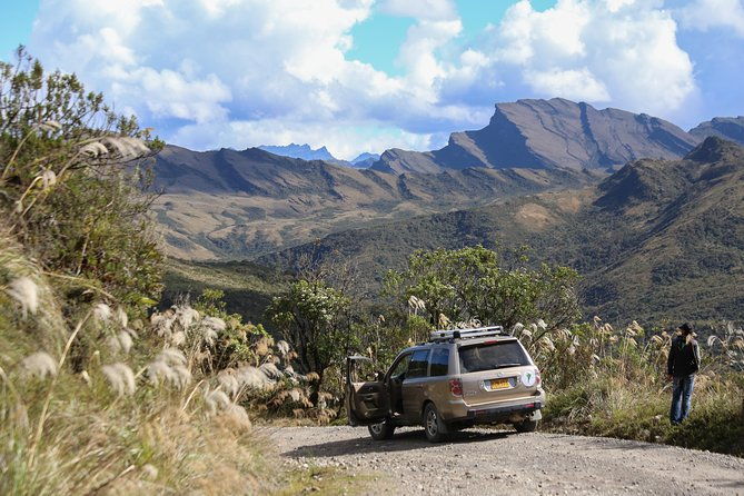 chingaza-wildlife-paramo-adventure