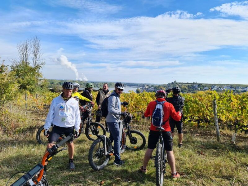 chinon-bicycle-tour-of-saumur-wineries-with-picnic-lunch