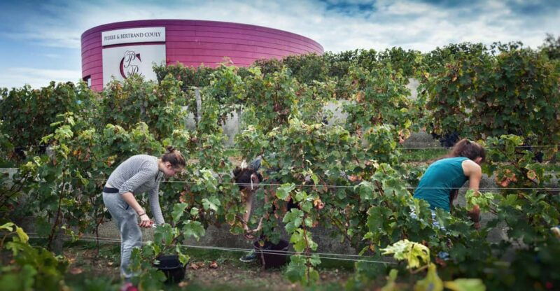 Chinon : Discovery Tours and Wine Tasting - Who Will Love This Experience?