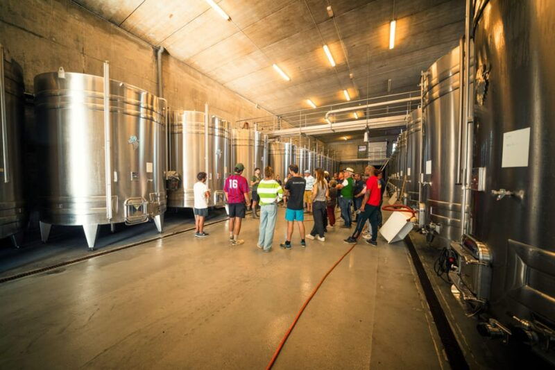 chinon-prestige-tours-and-wine-tasting