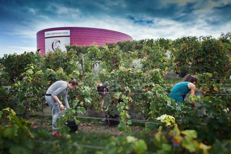chinon-prestige-tours-and-wine-tasting