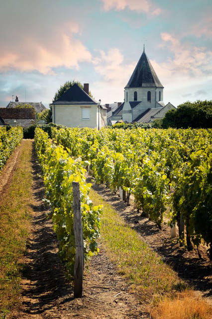 chinon-prestige-tours-and-wine-tasting