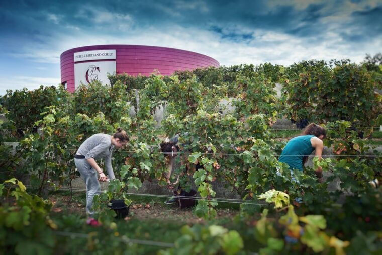 chinon-prestige-tours-and-wine-tasting
