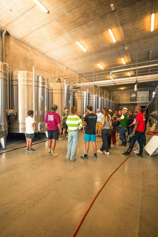 chinon-prestige-tours-and-wine-tasting