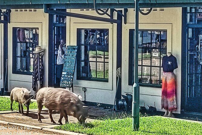 Chinotimba Township Tour in 4wd - Who Should Book This Experience?