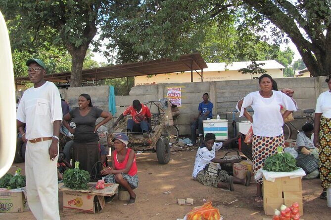 Chinotimba Township Tour (Zimbabwe) - Who Should Consider This Tour?