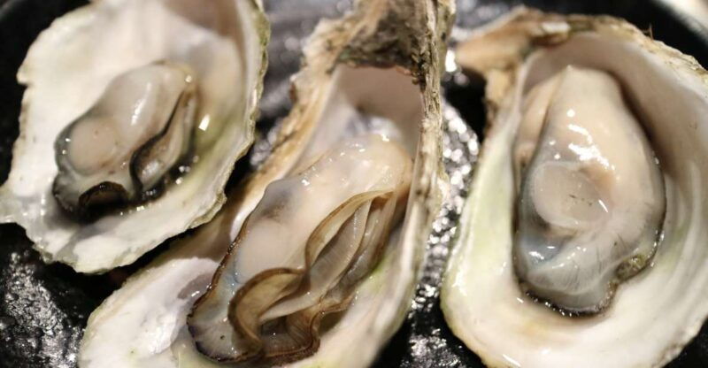 chioggia-discover-aquaculture-techniques-in-a-typical-boat