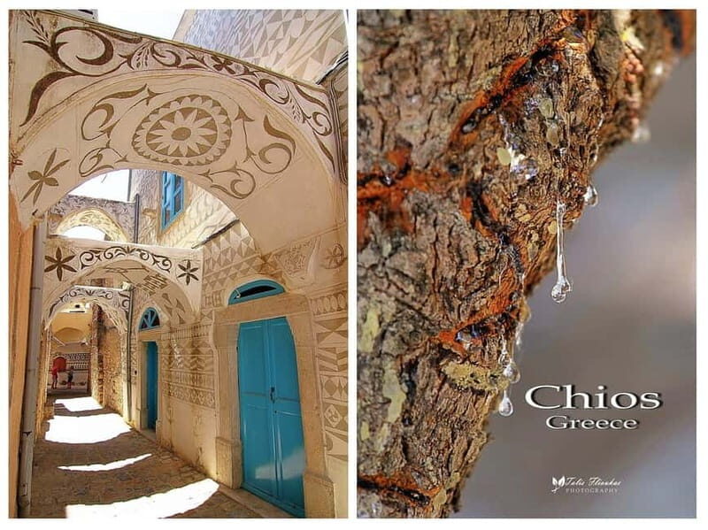 Chios: Masticha Villages Half Day Tour - The Experience: What It’s Like in Practice