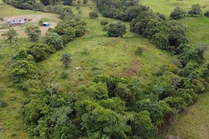 chiriqui-adventure-and-coffee-tours