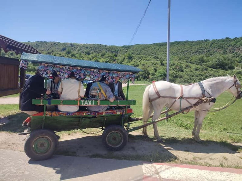 Chisinau: Cricova Wine tour &Old Orhei Archeological Complex - Exploring the Full Day Itinerary