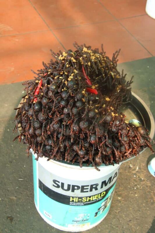 Chiso temple, Neang kmoa, and Taprum temple historical Tour - A Closer Look at the Tour Experience