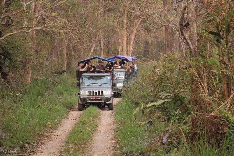 chitwan-1-night-jungle-safari-with-transfers-from-kathmandu