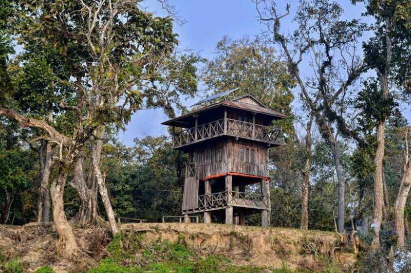 chitwan-1-night-jungle-safari-with-transfers-from-kathmandu