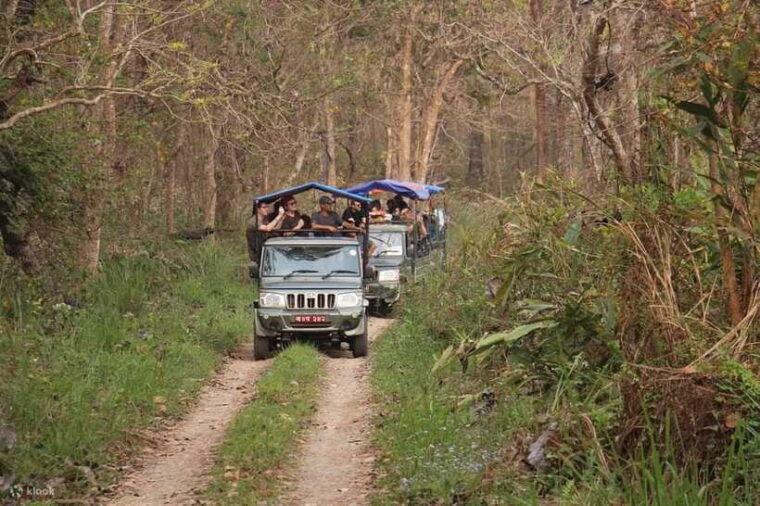 chitwan-1-night-jungle-safari-with-transfers-from-kathmandu