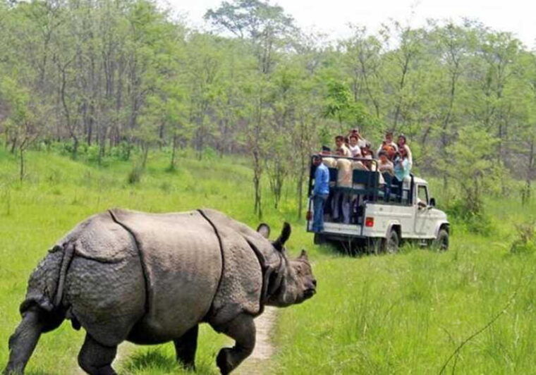 chitwan-1-night-jungle-safari-with-transfers-from-kathmandu