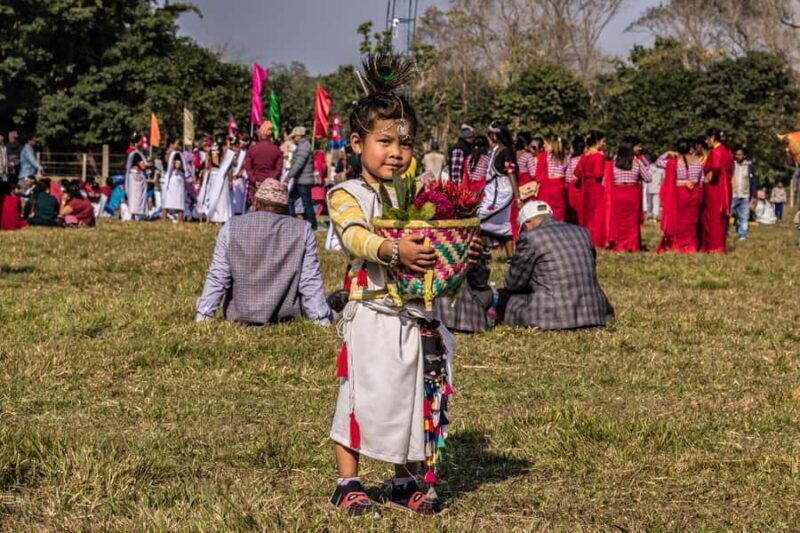 Chitwan: 3-Day Luxury Safari with Room, Meals & Transfers - Who Should Consider This Tour?