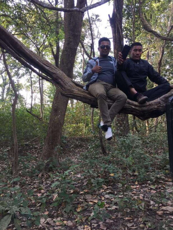 chitwan-3night-4day-chitwan-national-park-jungle-activities
