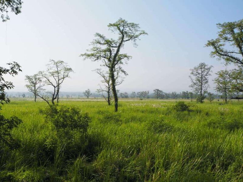 chitwan-canoeing-jungle-walk-and-multi-day-trek
