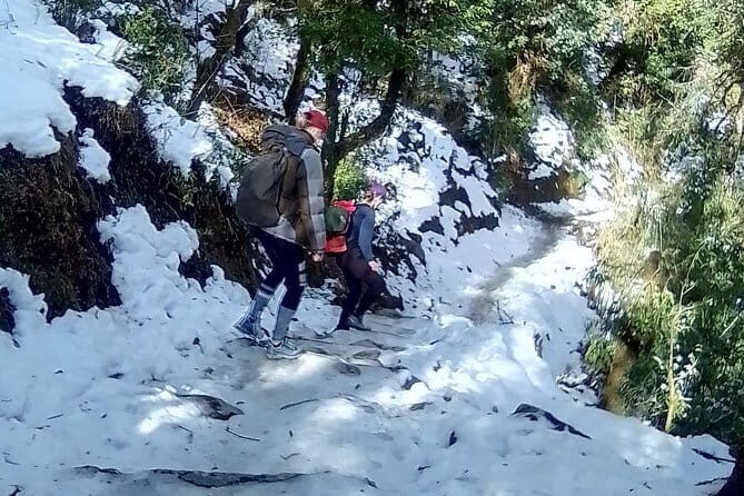 Chitwan Elegance: A 3-Day Luxury Wildlife Experience - Valuing the Experience