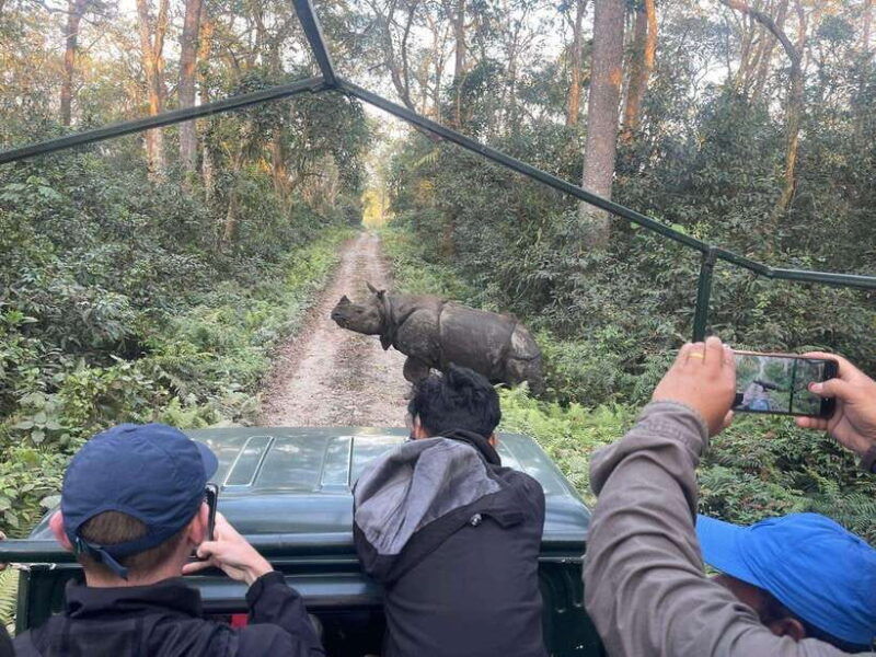 chitwan-jeep-safari-and-canoeing-adventure-with-guide