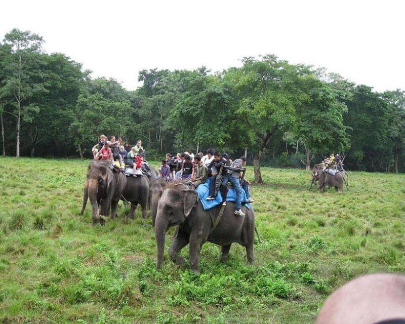 chitwan-jeep-safari-and-canoeing-adventure-with-guide