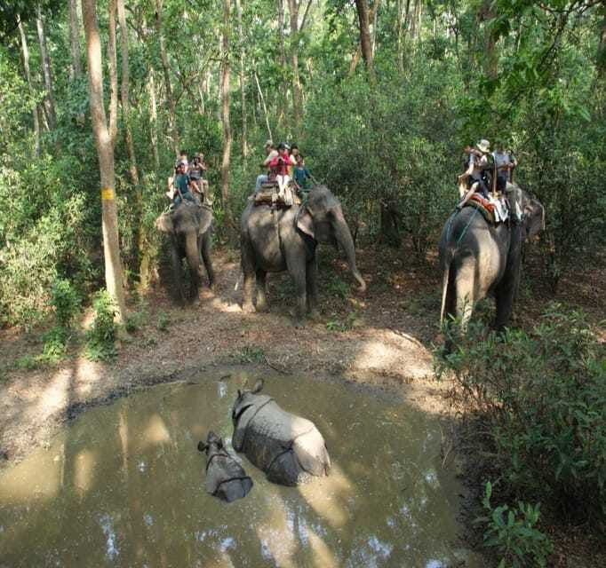 chitwan-jeep-safari-and-canoeing-adventure-with-guide