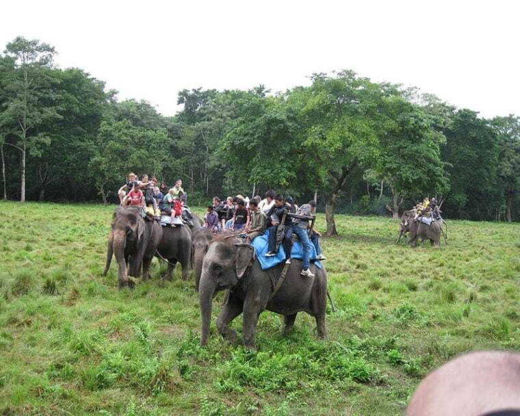 chitwan-jeep-safari-and-canoeing-adventure-with-guide