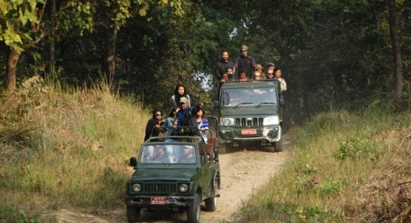 chitwan-jungle-safari-2-nights-3-days-from-kathmandu